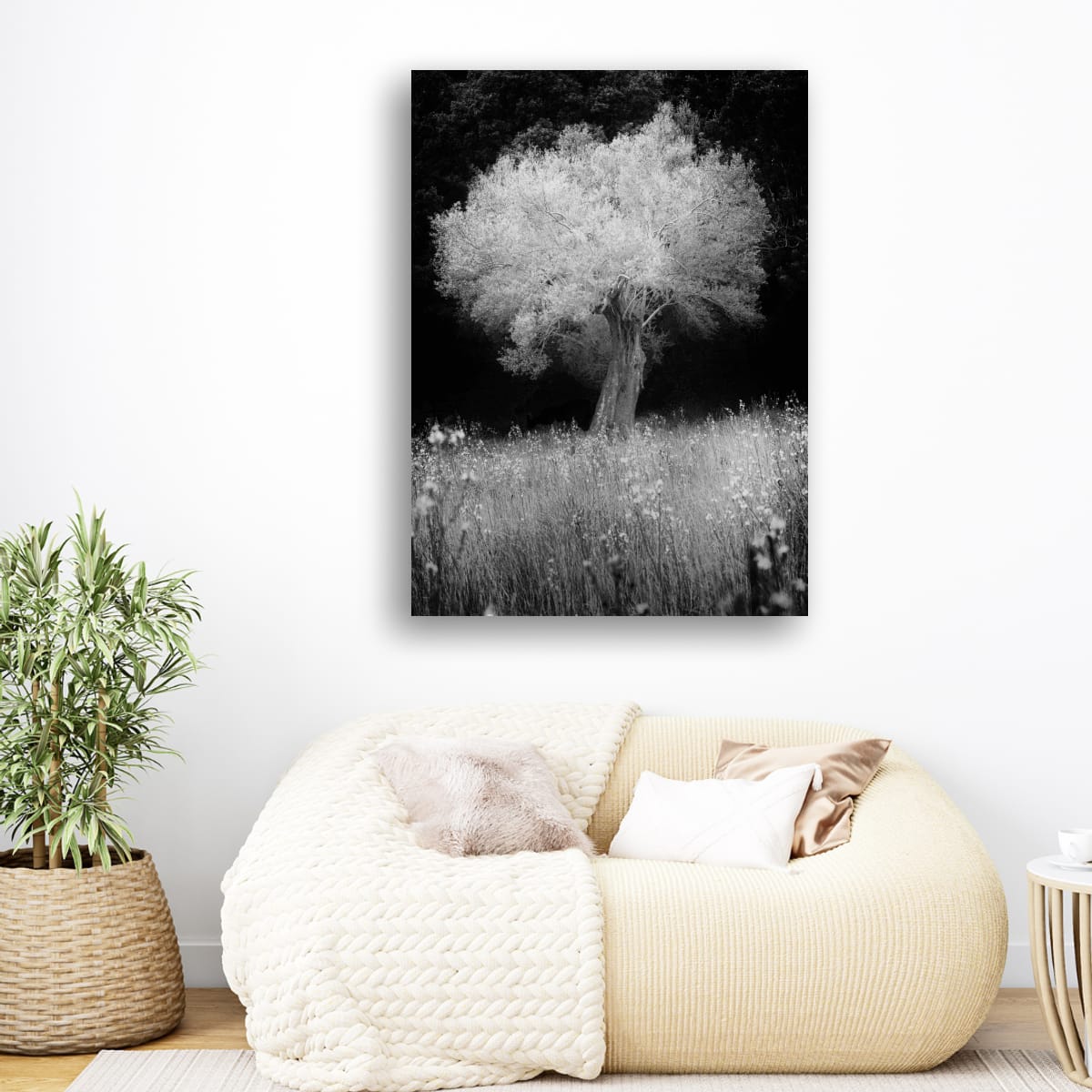Photographic Portfolio