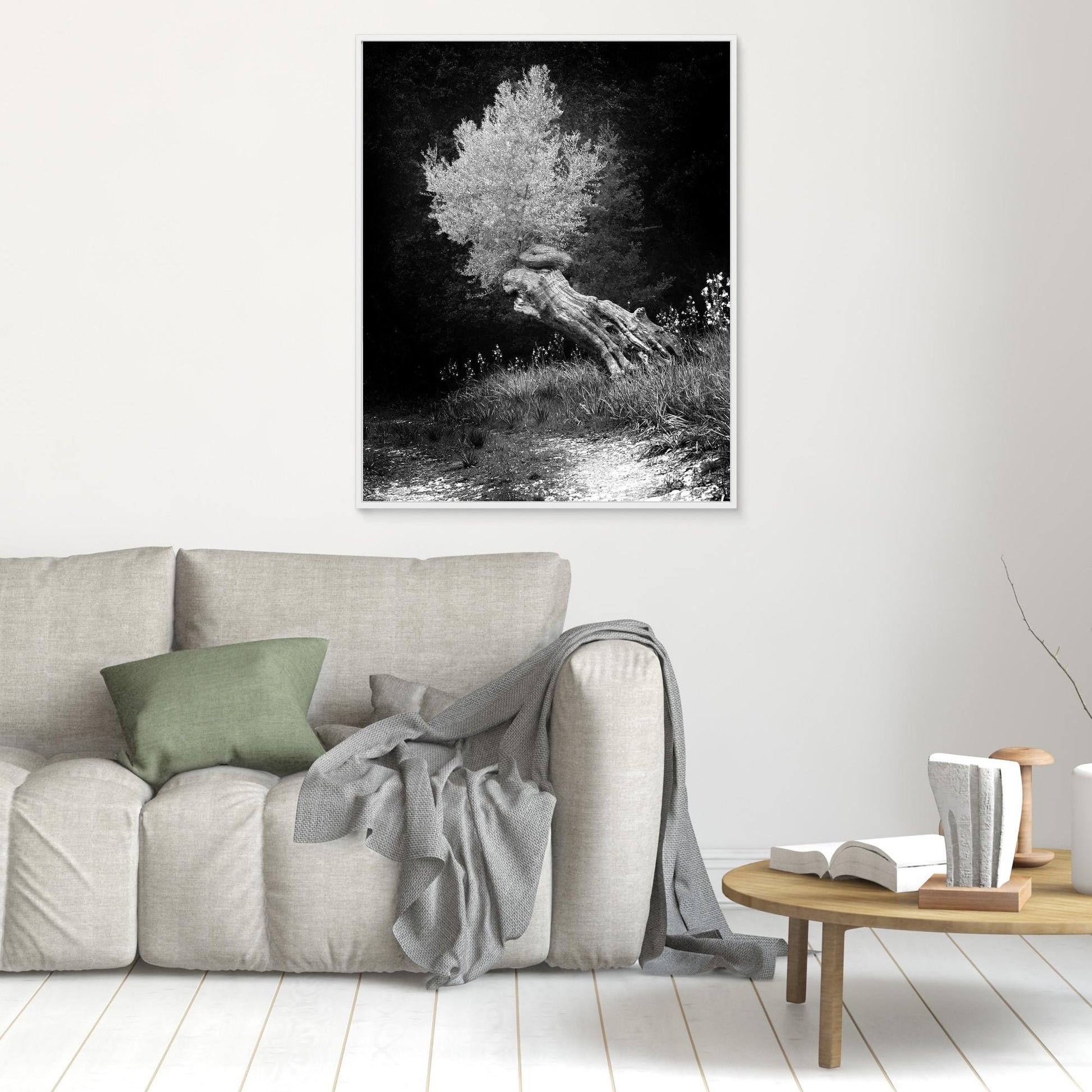DAWN OLIVE - on canvas