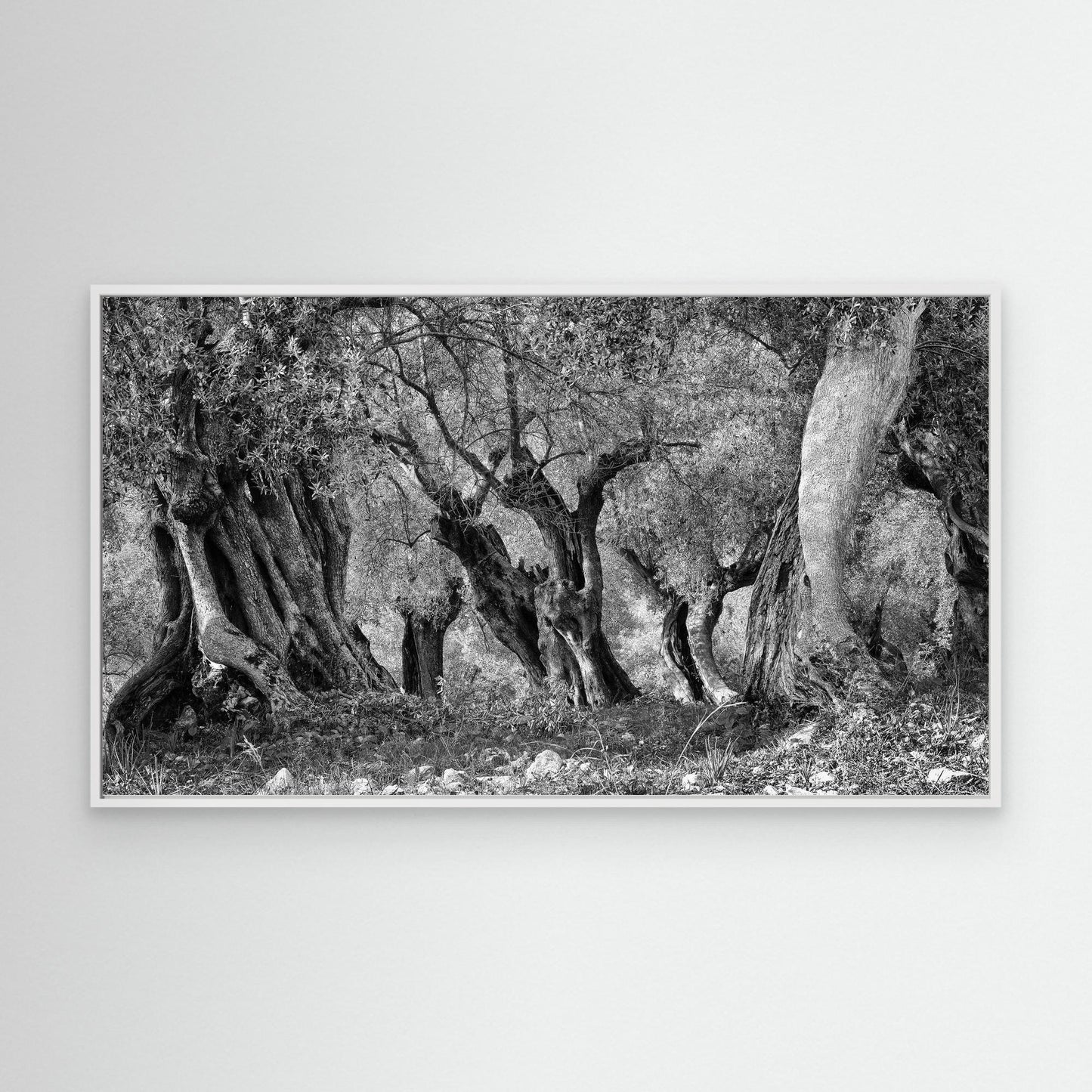 THROUGH THE GROVE - on canvas
