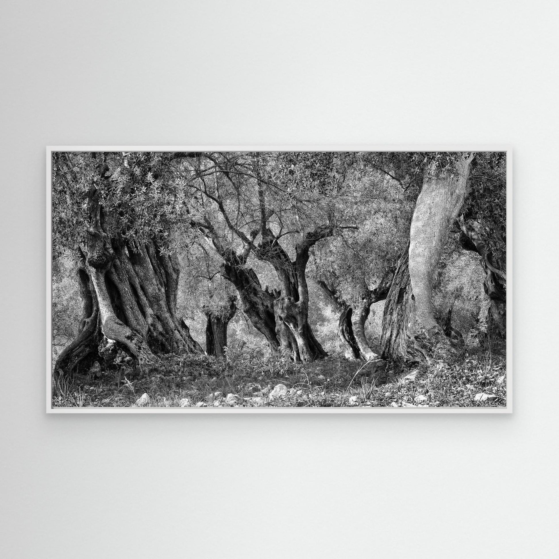 THROUGH THE GROVE - on canvas