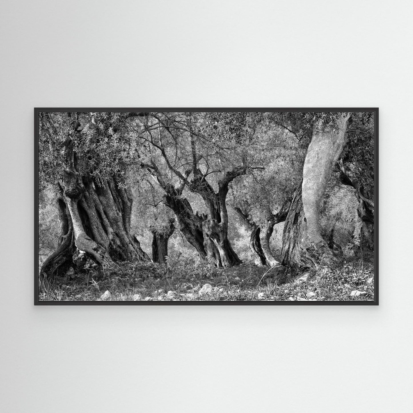 THROUGH THE GROVE - on canvas