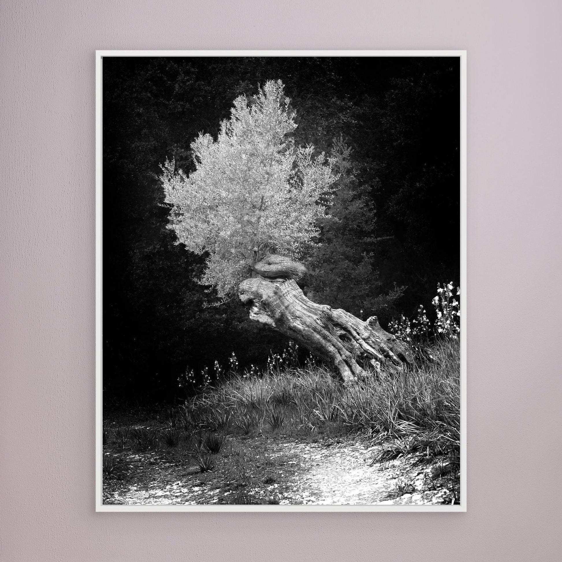 DAWN OLIVE - on canvas