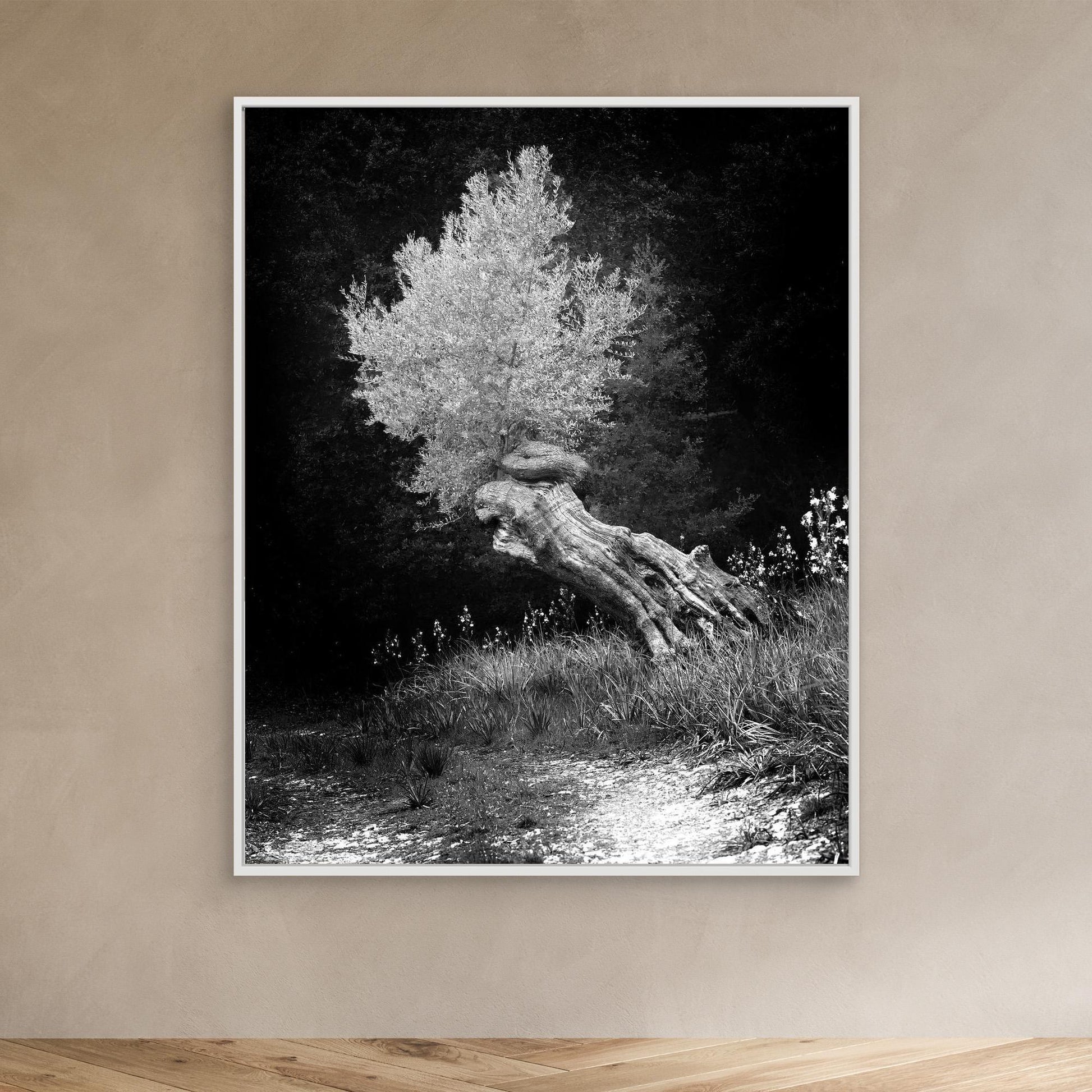 DAWN OLIVE - on canvas